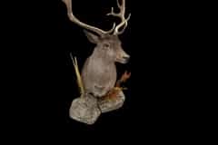 Photoroom_20260606_110952