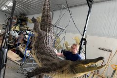 painting-a-croc3
