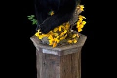 Photoroom_20250902_072912