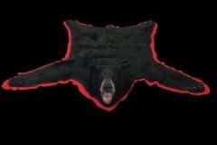 bLACK-BEAR-RUG-FLYER