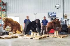 bear-mounts-in-process