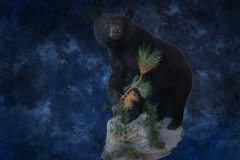 mammal1