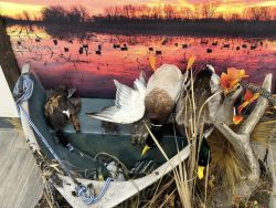 dead-mount-duck-scene-boat-7