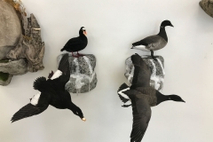 flying-standing-duck-mounts