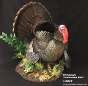 ciezaldo-turkey