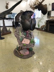 Gould's turkey gobbling mount on a tall rock pedestal, rear view showing the tail fan. Built at Stehling’s Taxidermy in Jefferson, Wisconsin.