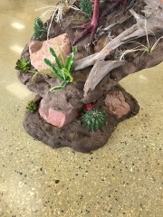 Desert habitat base with rocks, yucca and cactus on a Gould's turkey mount. Built at Stehling’s Taxidermy in Jefferson, Wisconsin.