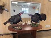 Gobblers-