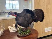 Gobblers-3