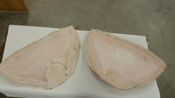 Two halves of the halibut tail mold set out to cure on the bench. Built at Stehling’s Taxidermy in Jefferson, Wisconsin.