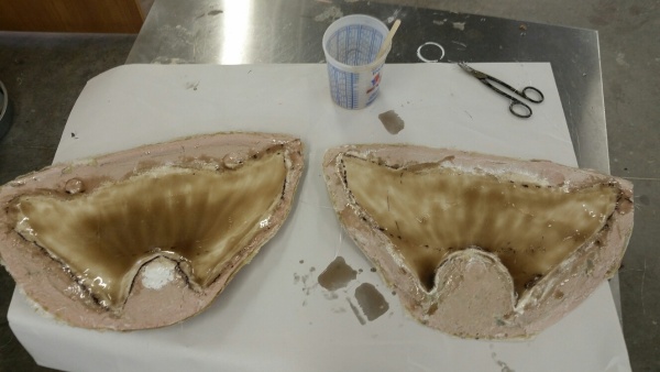 Fiberglass and resin layered into both halves of the halibut tail mold. Built at Stehling’s Taxidermy in Jefferson, Wisconsin.