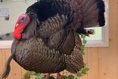 0C09918B-F869-478A-B9E1-C339097861F5