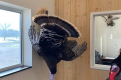 0C2C3DE0-B342-49D1-8C84-D4E11F1736E3