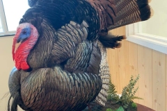 1CC9207E-C1B4-4EB3-B8F8-3C1C2C08A70B