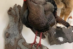 2047BEA7-A662-45B6-8CFF-70047E5AB499