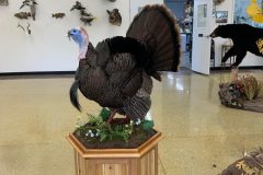 21DEF460-6602-4CE9-8257-E811D5FC3E13