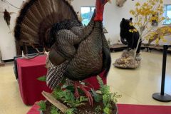 2CEBF8F6-BE92-49B0-90E7-44777594F3DA