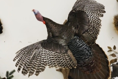 2F0C056D-A4DE-43BB-A09C-F8AD65478A8E