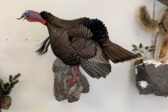 39C74773-54B0-41CD-A6C4-A6B2EE9EA265