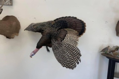 3AEC2F62-BC5C-499F-9822-F5507DBBC588