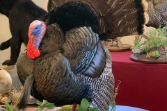 3D13B0A0-47E3-4890-9932-3022AFD1AC9C