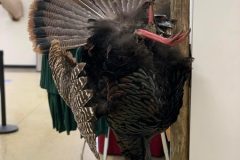 3FD2F15E-184A-4AB1-A09B-E4B50F4DD29B