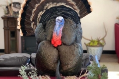 4BF968AC-80F4-4408-89C7-3758DEF53AA0