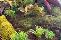 4F9BBD58-FCDF-47F9-AE05-50CAAE0F464C