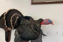 5F6E8BD1-9DEB-4AAE-92DB-8B39A6722CBF