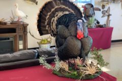 6542AEDB-060E-4E67-9604-0AE2A2E72E16