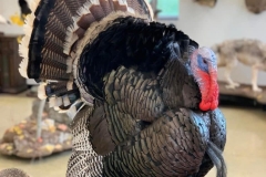 763ACE9B-1D26-4191-8586-526F0BAD62D4