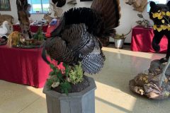 80675E8A-DBCB-4C01-BD03-3110A2951E38