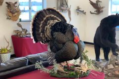 832858D6-BC30-4FAC-886E-20BB7A97C4AC