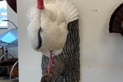 8FFCF665-59FD-47FA-A5D2-0AC80A54259D