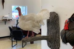 906280D1-ECD0-429C-BC70-9E695EDD52EF