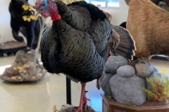 91BAA14A-08F1-4794-A58B-AAEB4B0D2A95