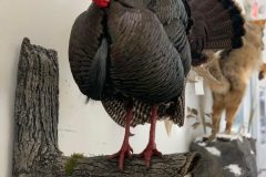 990884C3-F64D-461E-8645-D7C9688D2CB2