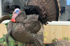 9CE2FEE3-A47A-4553-9C96-8E61D50537B3