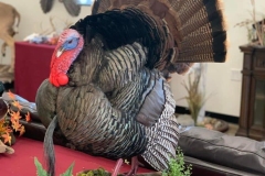 A414F54A-BB6C-4E4F-B894-9CD15CA27EF1