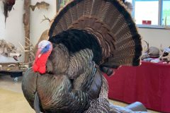 A61A13F5-F374-43B7-B47C-1493AE9428F1