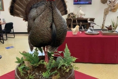 ADABBF41-7D6B-402D-85B4-B6FFD1CA629E