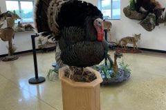 AFB8F1B6-1F1F-4C0F-9FAF-025854EA723E