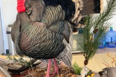 B59F4461-9723-449E-9D3F-5812E916FB33