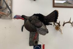 C0FAF4A5-EF6E-4AB4-BBE7-DDB6E9B90A25