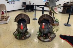 C911C1C2-A69E-4721-97DE-5C2343C51030