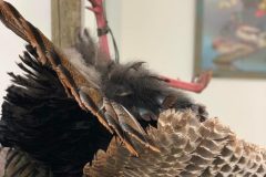 C96A9544-3217-4396-A72C-CDE6DED963E8