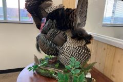 CB6FB9A7-2416-4083-A797-8953DAACAB4B