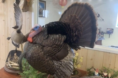 CBE6FBDA-DC9D-4F4C-8BD9-E9B2D9862A13