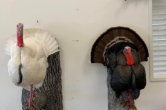 D26FF4E9-980C-404A-8489-9063DBBF8B18