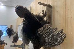 E3B83DB8-BC94-4862-A7D4-05A5C03EDE88